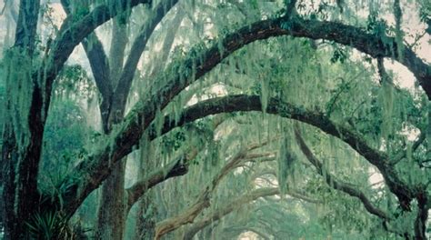 Top Hotels in St. Marys, GA from $90 .